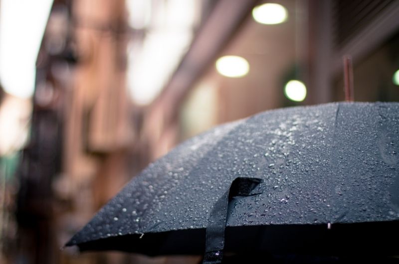 香港潮濕雨季必備！雨傘除水機與地毯膠布點樣解決家居煩惱？